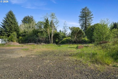 Large lot with stunning views and septic approval already in - photo 12