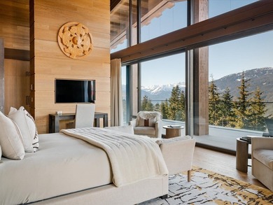 There are homes in Whistler. And then there are homes that - photo 23