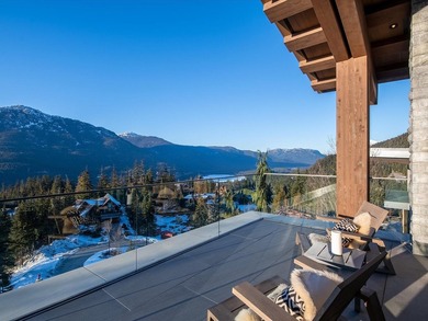 There are homes in Whistler. And then there are homes that - photo 25