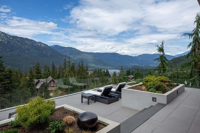 There are homes in Whistler. And then there are homes that - photo 38