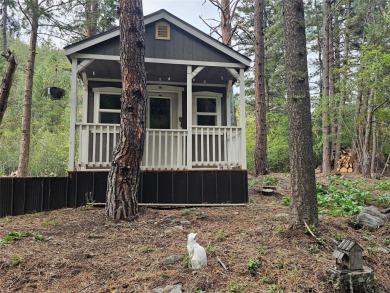 Lake Home For Sale in Cascade, Montana