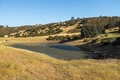 The 9,353.45-acre Buckeye Creek Ranch is a world-class - photo 28