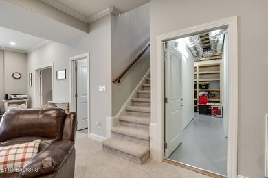 We are pleased to share the details of this elegant basement - photo 37