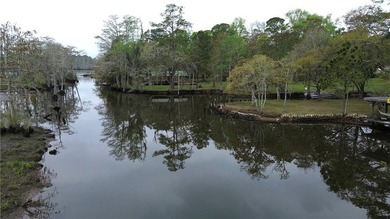 NEW PRICE!! This large waterfront four bedroom, three bath brick - photo 40