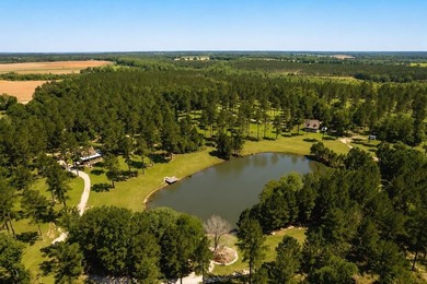Nestled within a serene nature sanctuary, this remarkable - photo 15