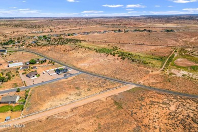 Lake Acreage For Sale in Taylor, Arizona