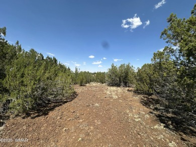 Lake Lot For Sale in Show Low, Arizona