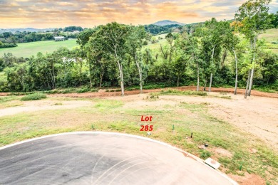 Lake Lot For Sale in Morristown, Tennessee