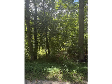 This 1.01-acre undeveloped lot in Belfast, Maine, offers some - photo 1