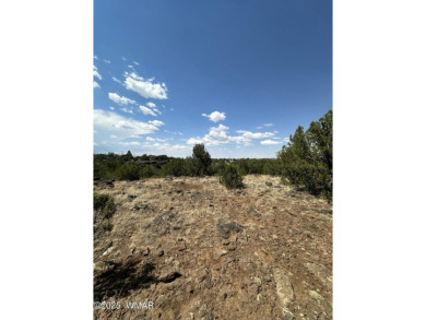 Lake Lot For Sale in Show Low, Arizona
