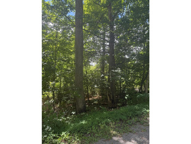 This 1.01-acre undeveloped lot in Belfast, Maine, offers some - photo 3