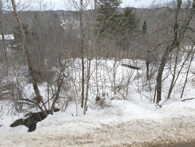 This 1.01-acre undeveloped lot in Belfast, Maine, offers some - photo 4