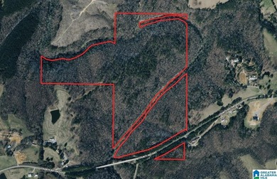 (private lake, pond, coastal) Acreage For Sale in Vinemont Alabama