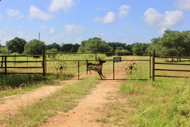 Family land, first time available for sale! Gorgeous natural and - photo 5