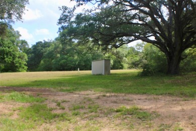 Family land, first time available for sale! Gorgeous natural and - photo 9