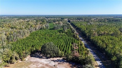 (private lake, pond, coastal) Acreage Active Under Contract in Nahunta Georgia