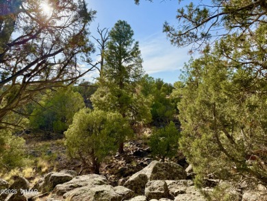 Lake Lot For Sale in Show Low, Arizona