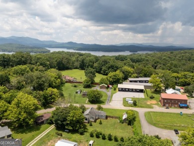 Lake Commercial For Sale in Morganton, Georgia