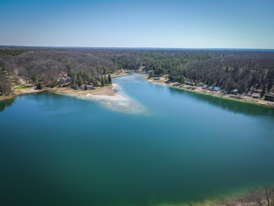 (private lake, pond, creek) Home For Sale in Baldwin Michigan