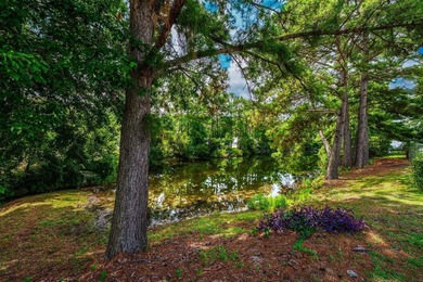NO HOA, a fenced backyard overlooking the pond, and an updated - photo 18