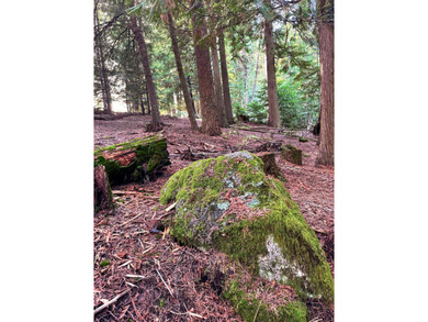 20 acres of PRIMARY LAKEFRONT on Eloika Lake! Several hundred - photo 22