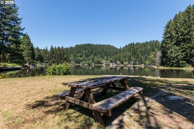 Experience the best of Pacific Northwest living at Fishhawk - photo 27