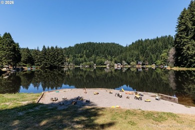 Experience the best of Pacific Northwest living at Fishhawk - photo 29