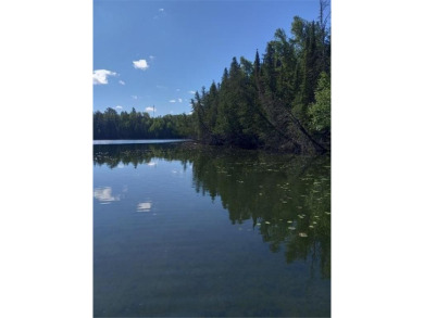 (private lake, pond, creek) Acreage For Sale in Bigfork Minnesota
