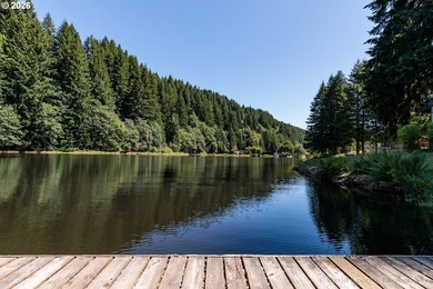 Experience the best of Pacific Northwest living at Fishhawk - photo 31