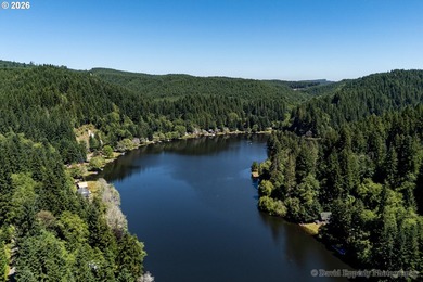 Experience the best of Pacific Northwest living at Fishhawk - photo 33