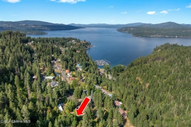 Lake Home For Sale in Worley, Idaho