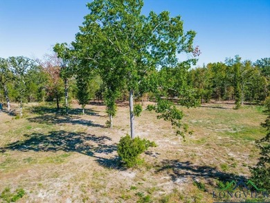 Lower Raintree Lake Lot For Sale in Big Sandy Texas