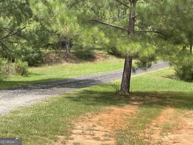 Lake Lot For Sale in Martin, Georgia