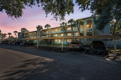 (private lake, pond, coastal) Condo For Sale in Dunedin Florida