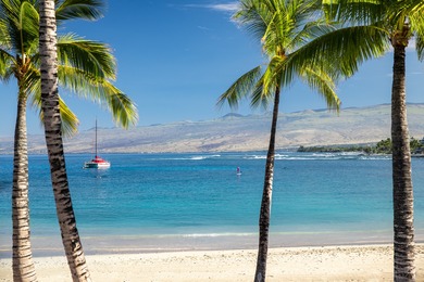 Mauna Lani Point J201 is a beautiful 1BR 1.5BATH unit on the - photo 30