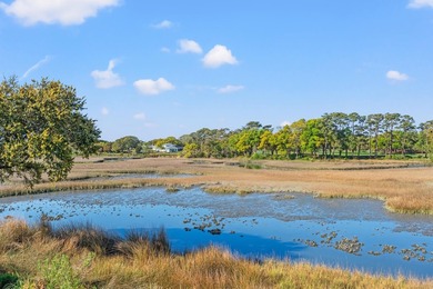 Beautiful raised Beach Home, only 2 blocks from the Beach! This - photo 33