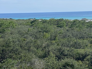 NOW OFFERED AT $1,750,000 -- AN ADDITIONAL $140,000 PRICE - photo 48