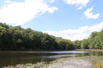 Lake Acreage For Sale in Keysville, Virginia