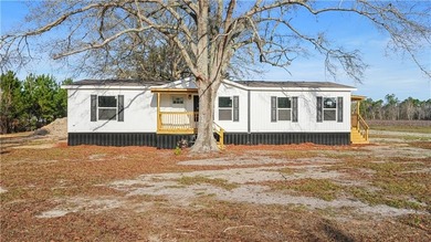 (private lake, pond, coastal) Home For Sale in Jesup Georgia