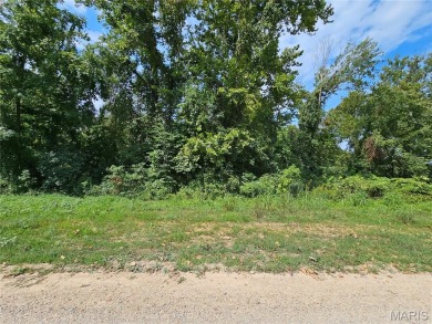 Lake Lot For Sale in Van Buren, Missouri
