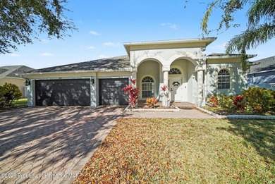 (private lake, pond, coastal) Home For Sale in Land O'Lakes Florida