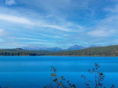 Lake Acreage For Sale in Seeley Lake, Montana