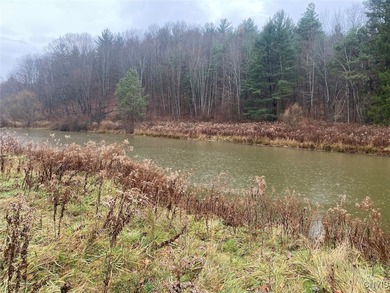 (private lake, pond, coastal) Acreage Sale Pending in Friendship New York
