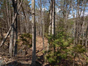 Chalk Pond  Lot For Sale in Newbury New Hampshire