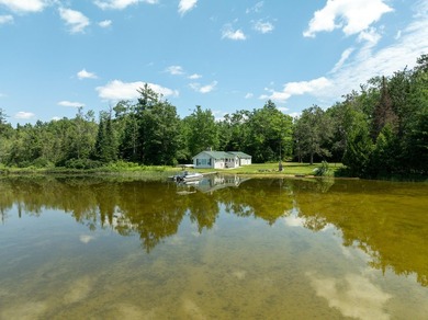 TURTLE LAKE / OTSEGO COUNTY, MI 1,408.88 Acres, 170+/- Acre - photo 12