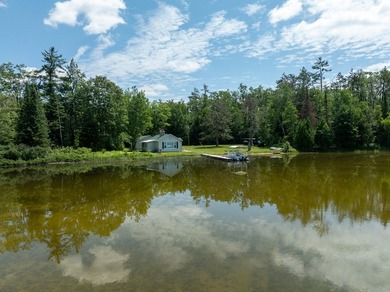 TURTLE LAKE / OTSEGO COUNTY, MI 1,408.88 Acres, 170+/- Acre - photo 13