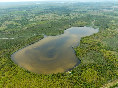 TURTLE LAKE / OTSEGO COUNTY, MI 1,408.88 Acres, 170+/- Acre - photo 15