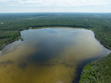 TURTLE LAKE / OTSEGO COUNTY, MI 1,408.88 Acres, 170+/- Acre - photo 16