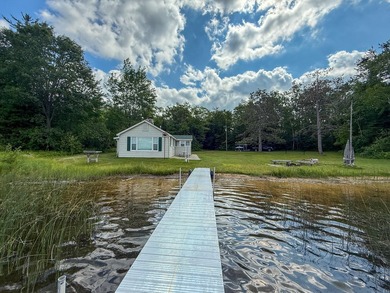 TURTLE LAKE / OTSEGO COUNTY, MI 1,408.88 Acres, 170+/- Acre - photo 28