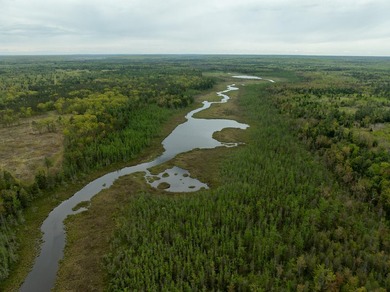 TURTLE LAKE / OTSEGO COUNTY, MI 1,408.88 Acres, 170+/- Acre - photo 36